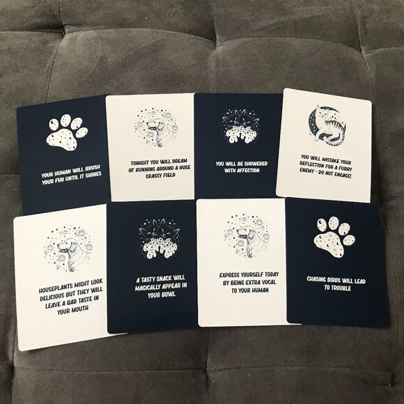 Pet Pawtune Telling Cards NEW Fortune Telling for Your Pet - Picture 6 of 12